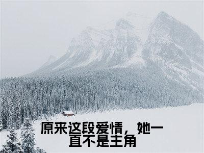 原来这段爱情，她一直不是主角全文免费阅读无弹窗大结局_（原来这段爱情，她一直不是主角小说）苏晚意穆辞年在线免费阅读