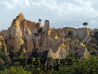 独家占有，沈先生一见钟情（沈越泽祁晴）小说全文免费读无弹窗大结局_独家占有，沈先生一见钟情小说全文免费阅读最新章节列表