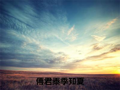 傅君泰季知夏（傅君泰季知夏）是什么小说-（傅君泰季知夏）无弹窗免费阅读大结局最新章节列表_笔趣阁