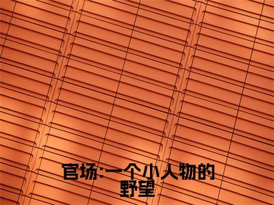 杜玉峰阮玉玲免费阅读无弹窗大结局，官场:一个小人物的野望最新章节