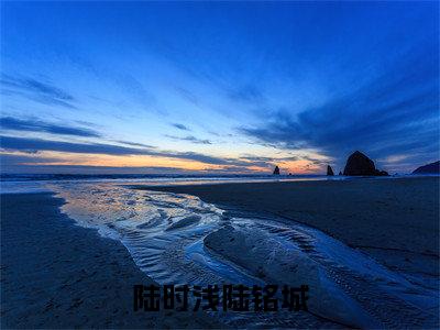 陆铭城陆时浅（陆时浅陆铭城）新上热文免费阅读-陆铭城陆时浅（陆时浅陆铭城）无广告在线阅读