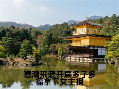 寒潮来袭开局多子多福拿下女主播（肖宇）小说免费阅读无弹窗大结局_（肖宇阅读无弹窗）最新章节列表