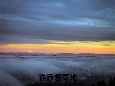 许乔樱秦池小说讲的是什么-许乔樱秦池精彩章节目录观看