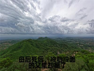 陆安然慕辞母后死后，冷心冷面的父皇却疯了小说全文无广告阅读-陆安然慕辞小说赏析母后死后，冷心冷面的父皇却疯了