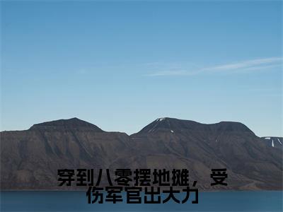 穿到八零摆地摊，受伤军官出大力正版小说全文阅读刘梦珊无删减版