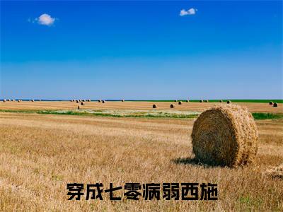 温卿禾（穿成七零病弱西施）全文免费阅读无弹窗大结局_穿成七零病弱西施（温卿禾无弹窗）_笔趣阁