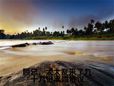 顾总，太太发来了九十九份离婚协议（姜栀）全文免费阅读无弹窗大结局_（姜栀）小说免费阅读无弹窗最新章节列表