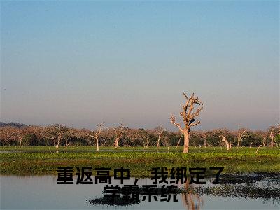 小说（重返高中，我绑定了学霸系统）全文免费阅读_（周岁）小说全文免费阅读