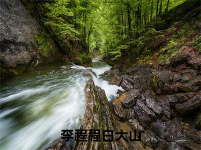 李程程白大山（白大山李程程）全文免费阅读无弹窗大结局_（白大山李程程）李程程白大山全文免费完结版阅读