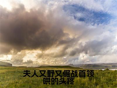 高赞小说夫人又野又倔战首领哄的头疼（宋安安战砚承）完结阅读_宋安安战砚承夫人又野又倔战首领哄的头疼免费看全文