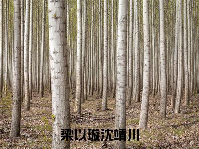 梁以璇沈靖川小说（梁以璇沈靖川）全文免费阅读无弹窗大结局_梁以璇沈靖川小说最新章节列表