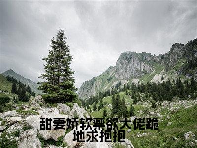 甜妻娇软禁欲大佬跪地求抱抱（洛轻云苏宸皓）精彩小说-小说洛轻云苏宸皓全文无删减版免费阅读