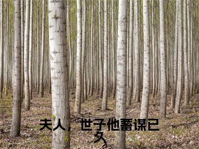 夫人，世子他蓄谋已久正版小说全文阅读陆昭昭沈嘉衍无删减版