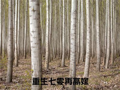 重生七零再高嫁（荣昭南宁媛）全文免费阅读_荣昭南宁媛正版小说全文阅读