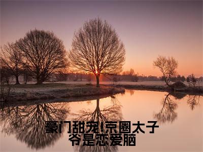 豪门甜宠!京圈太子爷是恋爱脑姜辞忧薄靳修小说全文在线阅读无弹窗大结局_（姜辞忧薄靳修全文在线阅读无弹窗）