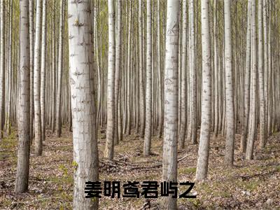 姜明鸢君屿之小说（姜明鸢君屿之）全文免费阅读无弹窗_姜明鸢君屿之小说全文免费阅读）姜明鸢君屿之最新章节列表笔趣阁