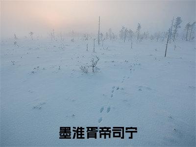 墨淮胥帝司宁小说（墨淮胥帝司宁）全文免费阅读无弹窗大结局_墨淮胥帝司宁小说最新章节列表_笔趣阁