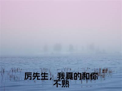 厉寒霆宁夏小说在线阅读（厉先生，我真的和你不熟）全文免费阅读无弹窗大结局