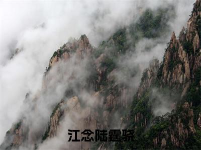 江念陆霆骁（江念陆霆骁）免费小说-江念陆霆骁（江念陆霆骁）最新章节完整版阅读