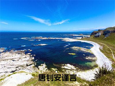 唐钊安谨言最新章节（安谨言唐钊）全文免费阅读无弹窗大结局_安谨言唐钊唐钊安谨言全文免费阅读