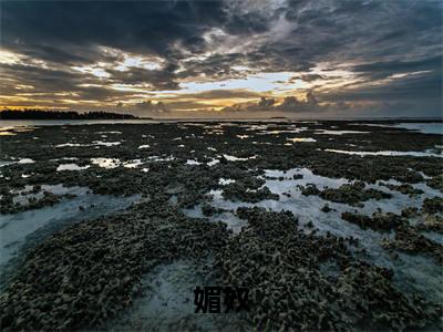 媚奴（苏锦诗）全文免费阅读_媚奴免费阅读最新章节列表笔趣阁（苏锦诗）