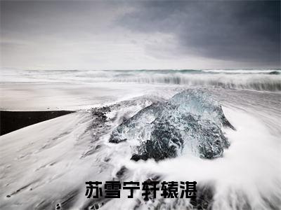 轩辕湛苏雪宁（苏雪宁轩辕湛）全文免费阅读无弹窗大结局_轩辕湛苏雪宁最新章节列表_笔趣阁