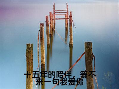 十五年的陪伴，等不来一句我爱你（赵含霁江岫白）小说免费无弹窗大结局-十五年的陪伴，等不来一句我爱你小说全文完整版阅读