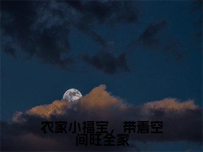 王暖暖（农家小福宝，带着空间旺全家）小说免费在线阅读_王暖暖全本免费小说阅读大结局（农家小福宝，带着空间旺全家）