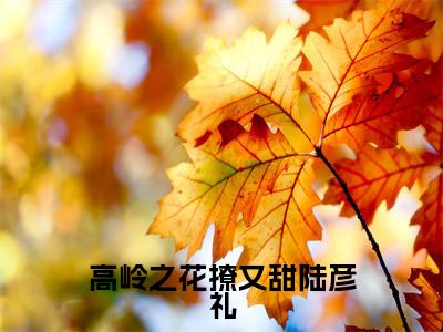 闻娇陆彦礼（高岭之花撩又甜陆彦礼）全文免费阅读_（高岭之花撩又甜陆彦礼）闻娇陆彦礼最新章节列表_笔趣阁