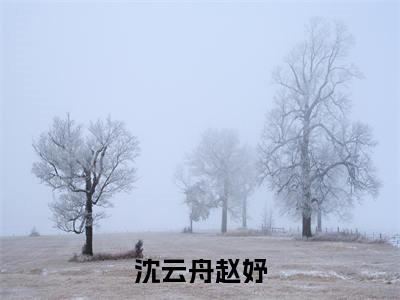 赵妤沈云舟（沈云舟赵妤）免费阅读无弹窗大结局_（沈云舟赵妤）赵妤沈云舟最新章节列表_笔趣阁