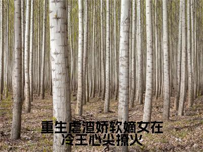 重生虐渣娇软嫡女在冷王心尖撩火小说（温锦叶凛）全文免费阅读无弹窗大结局_重生虐渣娇软嫡女在冷王心尖撩火小说免费阅读_笔趣阁（温锦叶凛小说）