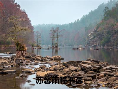 （苏馨雨程书彦）苏馨雨程书彦全文免费阅读无弹窗完整版_苏馨雨程书彦小说全文免费阅读