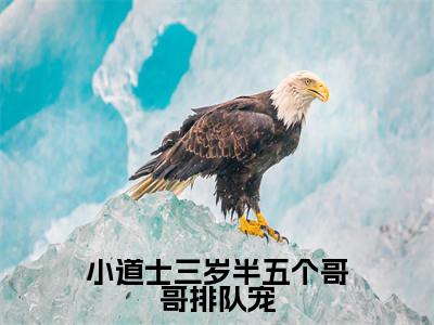 苏满满（小道士三岁半五个哥哥排队宠）全文免费阅读无弹窗大结局-小道士三岁半五个哥哥排队宠（苏满满）小说全文免费阅读最新章节列表