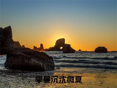 季晏沉沈微夏（沈微夏季晏沉）全文免费阅读_季晏沉沈微夏最新章节列表言情小说在线阅读