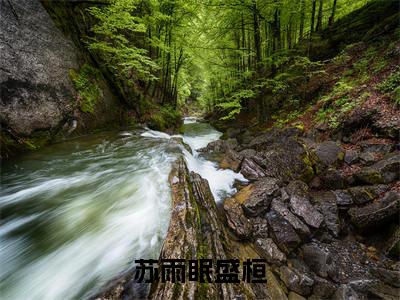 苏雨眠盛桓全文全章节免费阅读-苏雨眠盛桓全文免费阅读无弹窗大结局