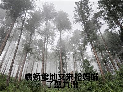 病娇爹地又来抢妈咪了盛九澈（唐心儿盛九澈）小说全文免费阅读无弹窗_（唐心儿盛九澈）病娇爹地又来抢妈咪了盛九澈小说全文免费阅读最新章节列表笔趣阁