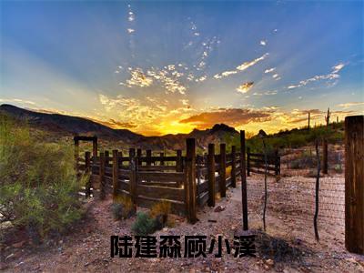 陆建森顾小溪（陆建森顾小溪）全文免费阅读无弹窗大结局_（陆建森顾小溪）陆建森顾小溪最新章节列表_笔趣阁