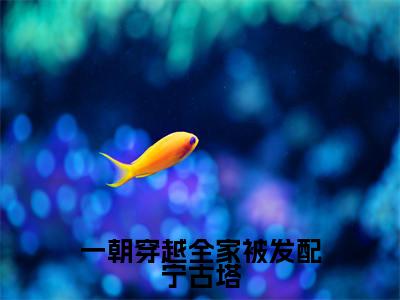 一朝穿越全家被发配宁古塔全文免费阅读无弹窗大结局_（白小月）最新章节列表_笔趣阁（一朝穿越全家被发配宁古塔小说）