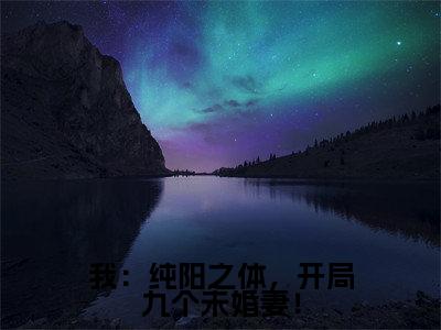 我：纯阳之体，开局九个未婚妻！（许阳）最新免费阅读-我：纯阳之体，开局九个未婚妻！小说在线阅读