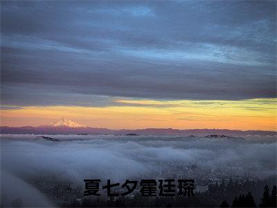 霍廷琛夏七夕（夏七夕霍廷琛）完整全文在线阅读_夏七夕霍廷琛小说全章节目录阅读（霍廷琛夏七夕）