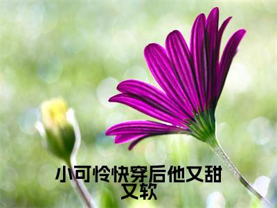 小可怜快穿后他又甜又软（田骄）全文免费阅读无弹窗_田骄最新小说_笔趣阁