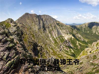 有孕出逃：战神王爷拿命宠小说全文免费阅读-（沈清河）有孕出逃：战神王爷拿命宠精选小说大结局阅读