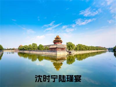 沈时宁陆瑾宴（沈时宁陆瑾宴）全文免费阅读无弹窗大结局_（沈时宁陆瑾宴）沈时宁陆瑾宴最新章节列表