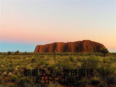 都重生了，变成国民老公不过份吧（凌零）全章节完整版免费小说_都重生了，变成国民老公不过份吧最新章节在线阅读_笔趣阁