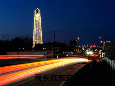 夜长欢东方玄小说全文在线赏析东方玄夜长欢小说免费阅读全文大结局