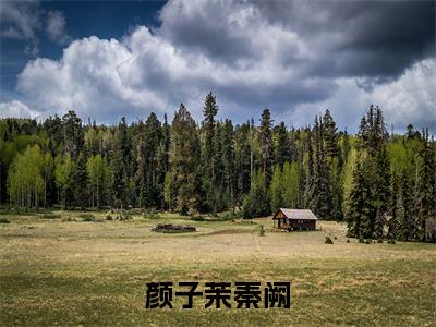 颜子茉秦阙（秦阙颜子茉）免费阅读无弹窗大结局-颜子茉秦阙免费阅读大结局最新章节列表_笔趣阁