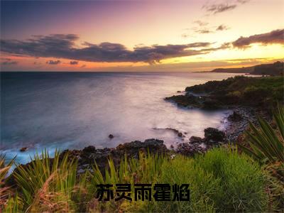 苏灵雨霍焰（霍焰苏灵雨）快手热推小说主角苏灵雨霍焰完整版在线阅读