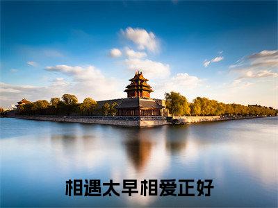 辛白程浩泽小说（相遇太早相爱正好）全文免费阅读无弹窗大结局_辛白程浩泽小说最新章节列表