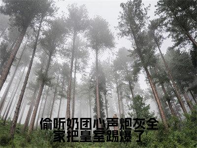 【新书】《沈云竹》偷听奶团心声炮灰全家把皇室踢爆了全文全章节免费阅读