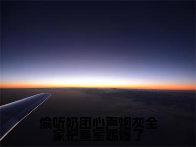沈云竹（偷听奶团心声炮灰全家把皇室踢爆了）高质量小说推荐阅读-最新小说偷听奶团心声炮灰全家把皇室踢爆了全文阅读